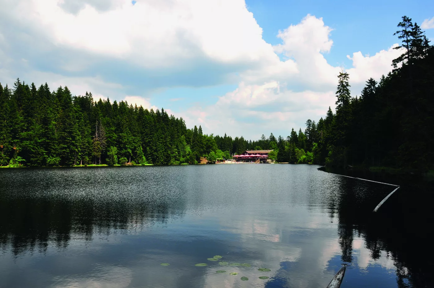 Der Große Arbersee mit dem bewaldeten Ufer und dem Arberseehaus