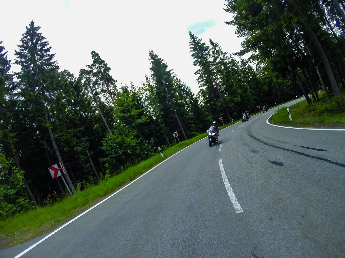 Motorrad in einer Kurve auf einer Straße durch dichten Nadelwald